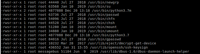 find SUID binaries result