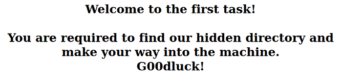 A welcome page asking us to search for a hidden directory.