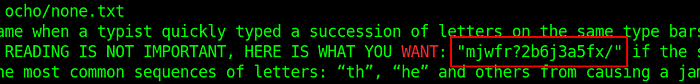 A message disclosing a string of interest inside file none.txt.